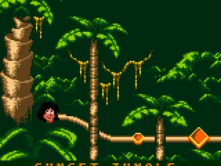 
											The jungle map.