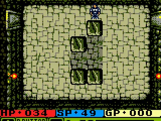 
											You should move this boulders in place to open the doors...