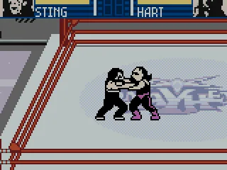 
											Grappling.