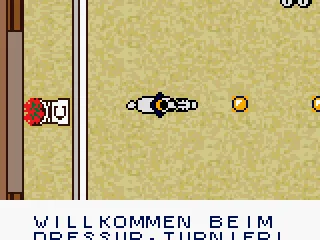 
											After the training, the real thing: Welcome to the tournament!