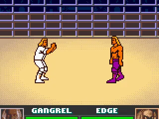 
											Even though these are 2 different wrestlers they still use the same sprite but with different coloured clothing