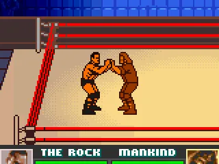 
											The rock and mankind grapple