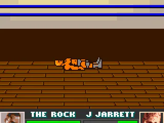 
											The wrestler has been thrown out of the ring