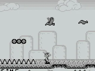 
											Beware of the birds!