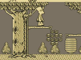 
											The Forest