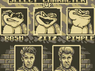 
											Character Selection