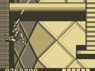 
											Level 3