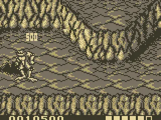 
											First Level