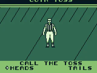 
											The coin toss