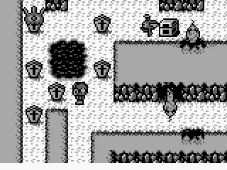 
											Turning the cave into a graveyard