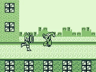 
											Fighting a mini-boss.