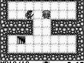 
											The first dungeon floor.