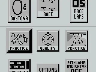 
											Pre race options