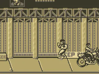 
											Double Dragon 3 screenshot 4