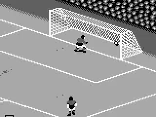 
											Goal!