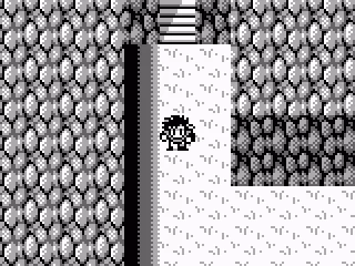 
											A Mysterious Cave