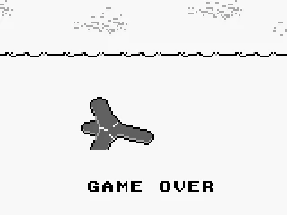 
											Game Over