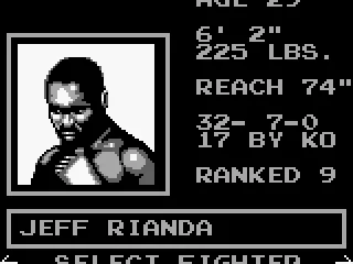 
											Choosing a fighter.