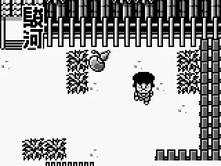 
											Start of a new game