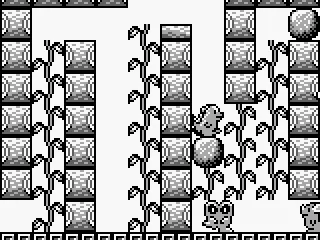 
											Level 1