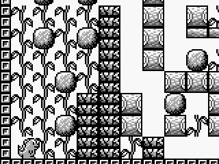 
											Level 21
