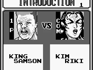 
											Introduction