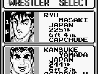 
											Wrestler select