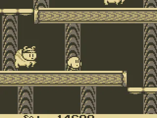 
											Bad Pig