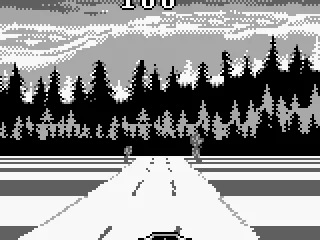 
											Road in forest