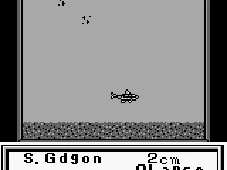 
											The fish