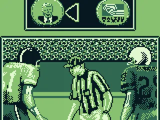 
											The coin toss