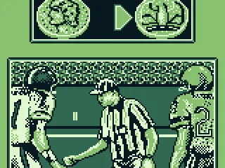 
											The coin toss