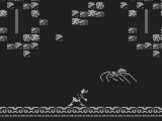 
											Yikes, giant spider!