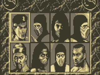 
											Fighter Selection