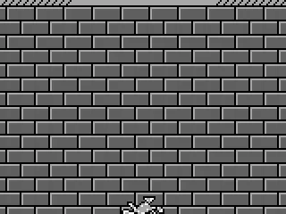 
											Caught by a mousetrap.