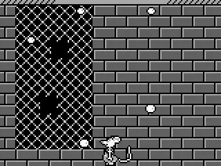 
											Ned to climb the wall.