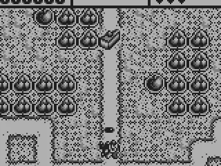 
											Gameplay