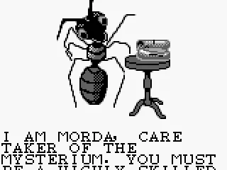 
											Morda
