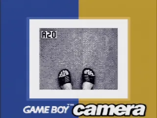 
											My feet.