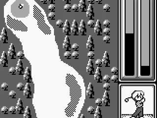 
											In-game. Hole 2.