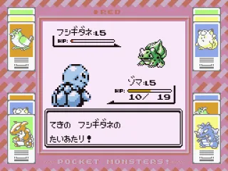 
											Turtle vs... ?
