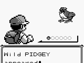 
											A wild battle