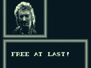 
											Robin Hood - Prince of Thieves screenshot 8