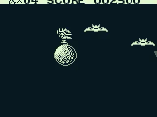 
											Even bats exist in space now.
