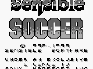 
											Title Screen.