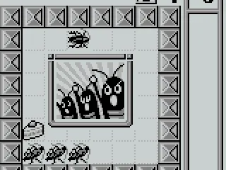 
											Cockroaches' turn