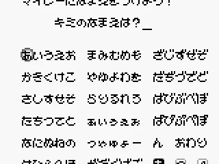 
											Name input