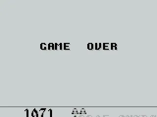 
											Game Over