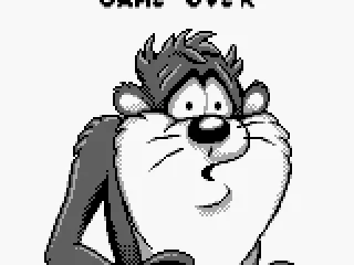 
											Game over...