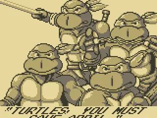 
											Your Mission